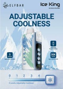 ELFBAR ICE KING 30000 puffs, Grape Ice ― Дымка невредимка