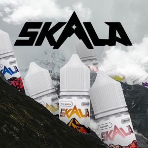 Жидкость SKALA Salt (30 мл.) 20мг ultra Клюква со льдом ― Дымка невредимка