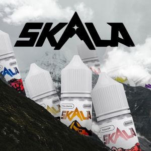 Жидкость SKALA Salt (30 мл.) 20мг ultra Кактус со льдом ― Дымка невредимка