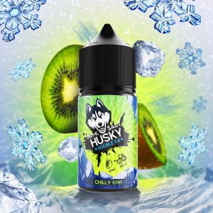 ЖИДКОСТЬ HUSKY DOUBLE ICE SALT CHILLY KIWI 20 МГ STRONG 30 МЛ ― Дымка невредимка